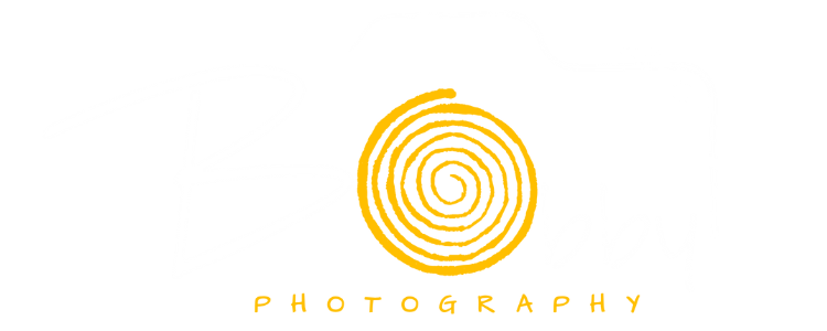 Untitled design (9)